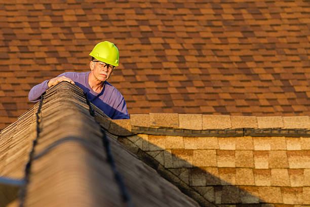 Best Roof Maintenance Services  in Bridgetown, MS