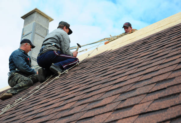 Best Emergency Roof Repair  in Bridgetown, MS